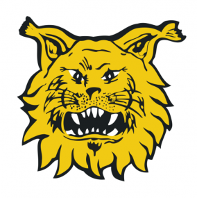 ilvespaa