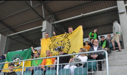 stadikalla